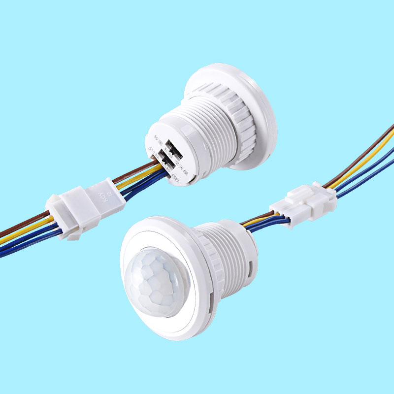 Rilevatore del sensore del cor - Pir Motion Sensor recensione e prezzo